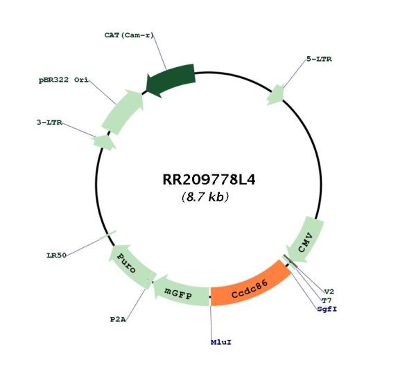 Circular map for RR209778L4