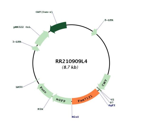 Circular map for RR210909L4