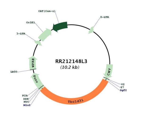 Circular map for RR212148L3