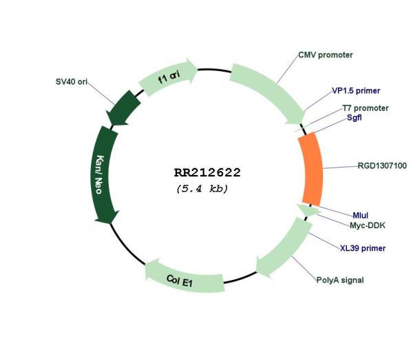 Circular map for RR212622