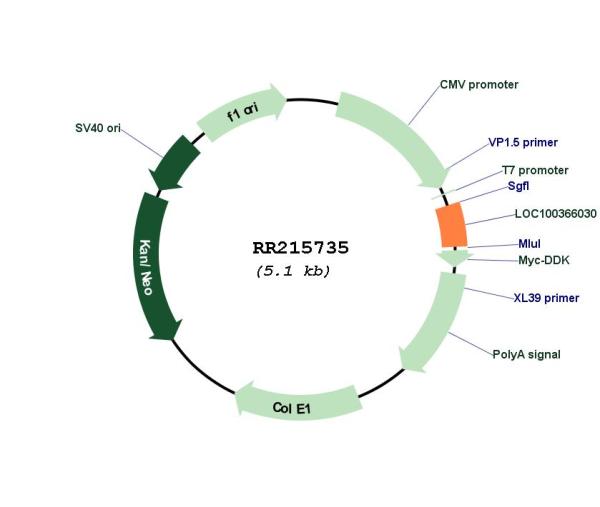 Circular map for RR215735