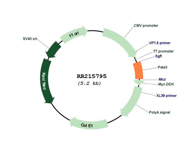 Circular map for RR215795