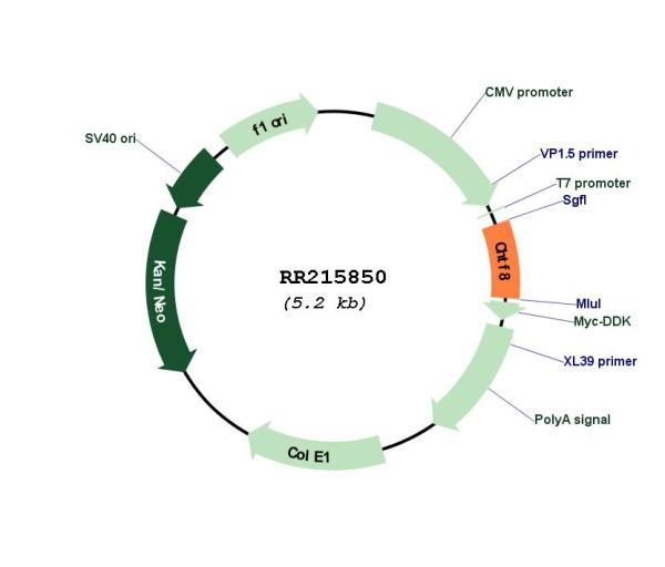 Circular map for RR215850