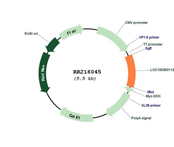 Circular map for RR216045