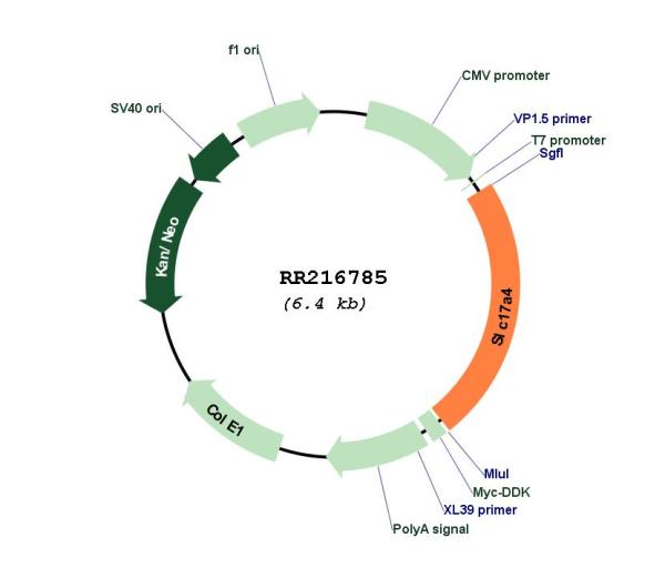 Circular map for RR216785