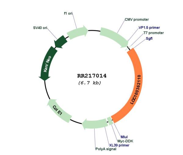 Circular map for RR217014