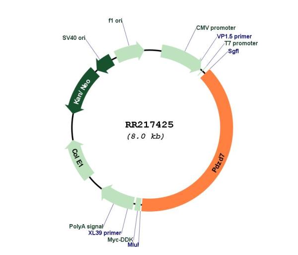 Circular map for RR217425