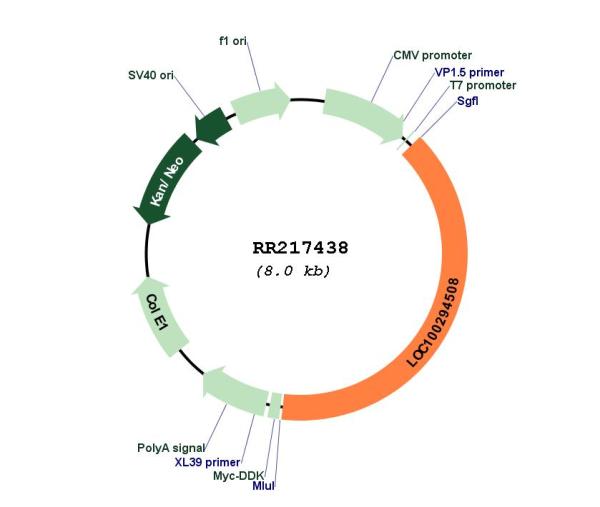 Circular map for RR217438