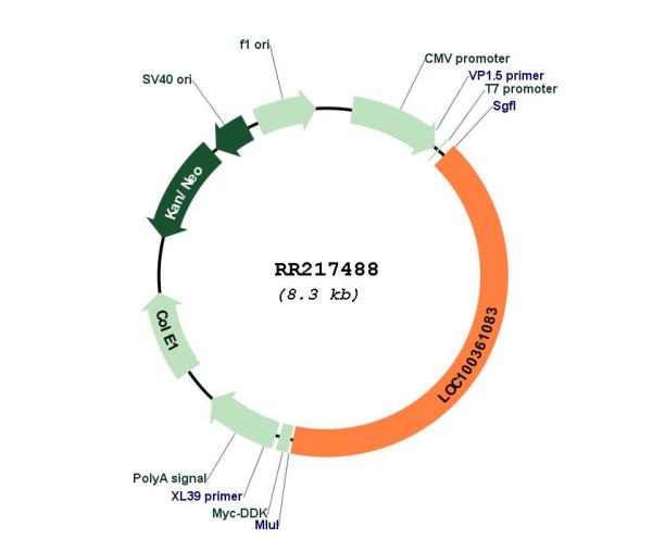 Circular map for RR217488