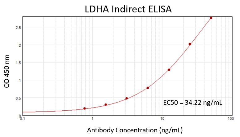 Recombinant Hu LDHA protein (<a href = "https://www.origene.com/catalog/proteins/recombinant-proteins/tp309378-ldha-nm-005566-human-recombinant-protein" title="TP309378" class="">TP309378</a>) 100 ng/mL was coated on plate and incubated at 4°C overnight. After blocking with 1% BSA, primary antibody TA500568 was added as a standard curve with a 2x serial dilution from 50 ng/mL, and 10,000x diluted HRP conjugated goat anti-mouse IgG was used as a detection antibody. S/B = 44.24, EC50 = 34.22 ng/mL