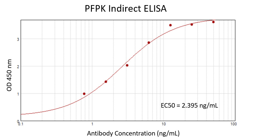 Recombinant Hu PFPK protein (<a href = "https://www.origene.com/catalog/proteins/recombinant-proteins/tp300673-pfkp-nm-002627-human-recombinant-protein" title="TP300673" class="">TP300673</a> ) 100 ng/mL was coated on plate and incubated at 4°C overnight. After blocking with 1% BSA, primary antibody TA503986 was added as a standard curve with a 2x serial dilution from 50 ng/mL, and 10,000x diluted HRP conjugated goat anti-mouse IgG was used as a detection antibody. S/B = 32.23, EC50 = 2.395 ng/mL