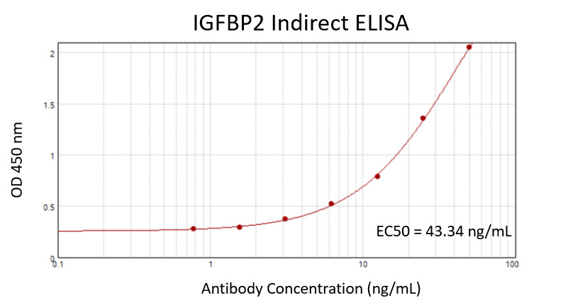 Recombinant Hu IGFBP2 protein (<a href = "https://www.origene.com/catalog/proteins/recombinant-proteins/tp302573-igfbp2-nm-000597-human-recombinant-protein" title="TP302573" class="">TP302573</a>) 100 ng/mL was coated on plate and incubated at 4°C overnight. After blocking with 1% BSA, primary antibody TA504413 was added as a standard curve with a 2x serial dilution from 50 ng/mL, and 10,000x diluted HRP conjugated goat anti-mouse IgG was used as a detection antibody. S/B = 8.20, EC50 = 43.34 ng/mL