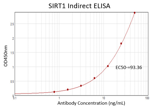 SIRT1 Mouse Monoclonal Antibody [Clone ID: OTI5B2]