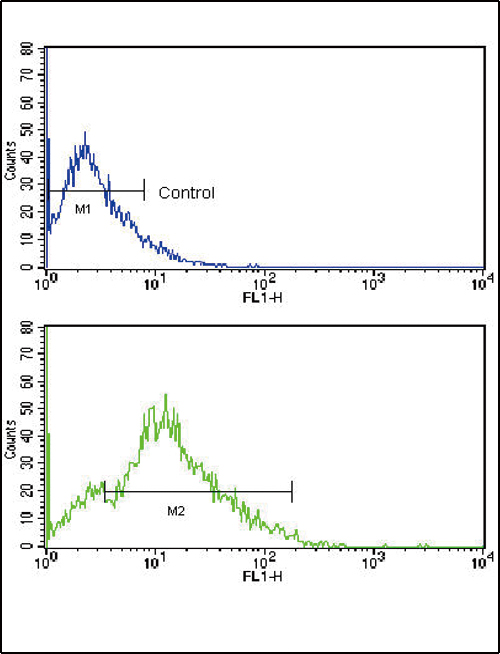 Flow cytometric analysis of HL-60 cells using CD3G Antibody (N-term) (bottom histogram) compared to a negative control cell (top histogram). FITC-conjugated goat-anti-rabbit secondary antibodies were used for the analysis.