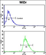 Flow cytometric analysis of WiDr cells using BMPR1A Antibody (N-term) (bottom histogram) compared to a negative control cell (top histogram). FITC-conjugated goat-anti-rabbit secondary antibodies were used for the analysis.