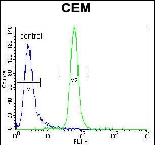 MUSK Antibody (Cat. #AP7664d) flow cytometric analysis of CEM cells (right histogram) compared to a negative control cell (left histogram).FITC-conjugated goat-anti-rabbit secondary antibodies were used for the analysis.