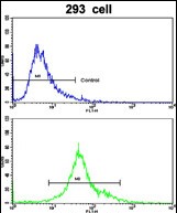 Flow cytometric analysis of 293 cells using EMILIN1 Antibody (N-term)(bottom histogram) compared to a negative control cell (top histogram). FITC-conjugated goat-anti-rabbit secondary antibodies were used for the analysis.