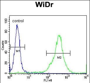 FAM3B Antibody (N-term) (Cat. #AP17357PU-N) flow cytometric analysis of WiDr cells (right histogram) compared to a negative control cell (left histogram).FITC-conjugated goat-anti-rabbit secondary antibodies were used for the analysis.