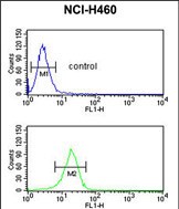 FKBP10 Antibody (N-term) (Cat. #AP17377PU-N) flow cytometric analysis of NCI-H460 cells (bottom histogram) compared to a negative control cell (top histogram).FITC-conjugated goat-anti-rabbit secondary antibodies were used for the analysis.