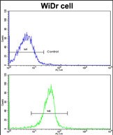 Flow cytometric analysis of widr cells using KLF6 Antibody (N-term)(bottom histogram) compared to a negative control cell (top histogram). FITC-conjugated goat-anti-rabbit secondary antibodies were used for the analysis.