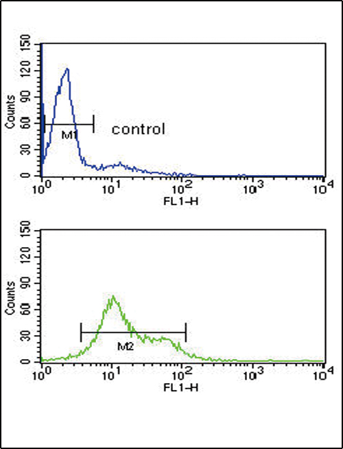 MDH1 Antibody (C-term) (Cat. #AP17556PU-N) flow cytometry analysis of HL-60 cells (bottom histogram) compared to a negative control cell (top histogram).FITC-conjugated goat-anti-rabbit secondary antibodies were used for the analysis.
