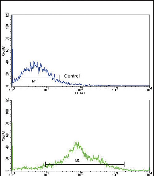 Flow cytometric analysis of NCI-H292 cells using PLA2G4A Antibody (Center)(bottom histogram) compared to a negative control cell (top histogram). FITC-conjugated goat-anti-rabbit secondary antibodies were used for the analysis.