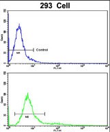 Flow cytometric analysis of 293 cells using RAB13 Antibody (Center)(bottom histogram) compared to a negative control cell (top histogram). FITC-conjugated goat-anti-rabbit secondary antibodies were used for the analysis.