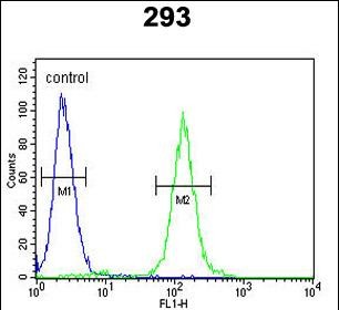 SUV4-20H2 Antibody (Center) (Cat. #AP17772PU-N) flow cytometric analysis of 293 cells (right histogram) compared to a negative control cell (left histogram).FITC-conjugated goat-anti-rabbit secondary antibodies were used for the analysis.