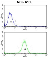 DNM3 Antibody (Center) (Cat. #AP8833c) flow cytometry analysis of NCI-H292 cells (bottom histogram) compared to a negative control cell (top histogram).FITC-conjugated goat-anti-rabbit secondary antibodies were used for the analysis.