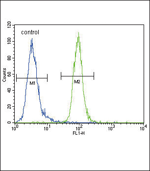 ENPP2 Antibody (Center) (Cat. #AP18009PU-N) flow cytometric analysis of MDA-MB435 cells (right histogram) compared to a negative control cell (left histogram).FITC-conjugated goat-anti-rabbit secondary antibodies were used for the analysis.