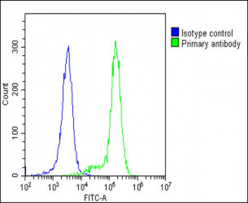 Overlay histogram showing K562 cells stained with AP8550C(green line).  The cells were fixed with 2% paraformaldehyde (10 min) and then permeabilized with 90% methanol for 10 min.  The cells were then icubated in 2% bovine serum albumin to block non-specific protein-protein interactions followed by the antibody (AP8550C,  1:25 dilution) for 60 min at 37ºC.  The secondary antibody used was Goat-Anti-Rabbit IgG, DyLight® 488 Conjugated Highly Cross-Adsorbed(1583138) at 1/200 dilution for 40 min at 37ºC.  Isotype control antibody (blue line) was rabbit IgG1 (1μg/1x10^6 cells) used under the same conditions.  Acquisition of >10, 000 events was performed.