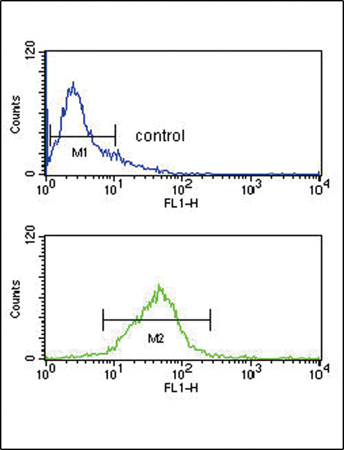 PCSK9 Antibody (N-term) (Cat. #AP18147PU-N) flow cytometry analysis of Jurkat cells (bottom histogram) compared to a negative control cell (top histogram).FITC-conjugated goat-anti-rabbit secondary antibodies were used for the analysis.