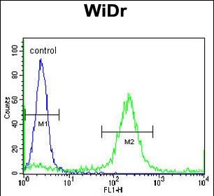 ADAMDEC1 Antibody (N-term) (Cat. #AP50081PU-N) flow cytometric analysis of WiDr cells (right histogram) compared to a negative control cell (left histogram).FITC-conjugated goat-anti-rabbit secondary antibodies were used for the analysis.