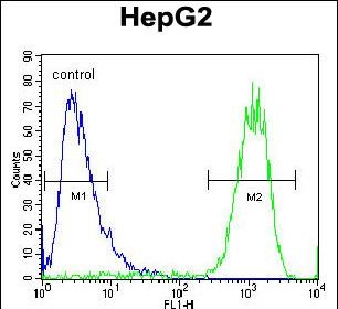 ATP5H Antibody (Center) (Cat. #AP50301PU-N) flow cytometric analysis of HepG2 cells (right histogram) compared to a negative control cell (left histogram).FITC-conjugated goat-anti-rabbit secondary antibodies were used for the analysis.