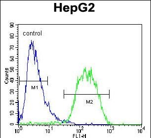 BUD13 Antibody (C-term) (Cat. #AP50410PU-N) flow cytometric analysis of HepG2 cells (right histogram) compared to a negative control cell (left histogram).FITC-conjugated goat-anti-rabbit secondary antibodies were used for the analysis.