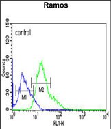 C19orf18 Antibody (Center) (Cat. #AP50510PU-N) flow cytometric analysis of Ramos cells (right histogram) compared to a negative control cell (left histogram).FITC-conjugated goat-anti-rabbit secondary antibodies were used for the analysis.