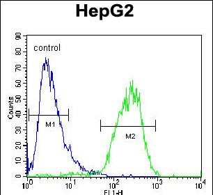 CHPT1 Antibody (N-term) (Cat. #AP50904PU-N) flow cytometric analysis of HepG2 cells (right histogram) compared to a negative control cell (left histogram).FITC-conjugated goat-anti-rabbit secondary antibodies were used for the analysis.