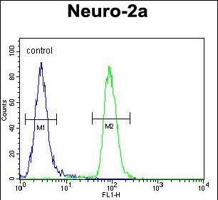 CIRH1A Antibody (N-term) (Cat. #AP50927PU-N) flow cytometric analysis of Neuro-2a cells (right histogram) compared to a negative control cell (left histogram).FITC-conjugated goat-anti-rabbit secondary antibodies were used for the analysis.