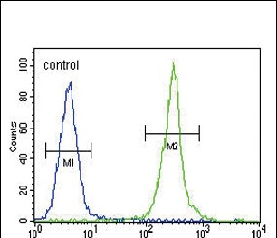 CLDN16 Antibody (N-term) (Cat. #AP10435a) flow cytometric analysis of MDA-MB435 cells (right histogram) compared to a negative control cell (left histogram).FITC-conjugated goat-anti-rabbit secondary antibodies were used for the analysis.