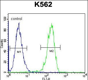 CPSF7 Antibody (C-term) (Cat. #AP12151b) flow cytometric analysis of K562 cells (right histogram) compared to a negative control cell (left histogram).FITC-conjugated goat-anti-rabbit secondary antibodies were used for the analysis.