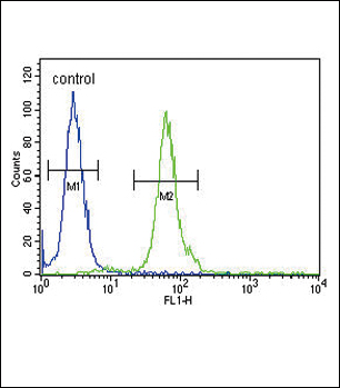DFFB Antibody (N-term) (Cat. #AP51245PU-N) flow cytometric analysis of 293 cells (right histogram) compared to a negative control cell (left histogram).FITC-conjugated goat-anti-rabbit secondary antibodies were used for the analysis.