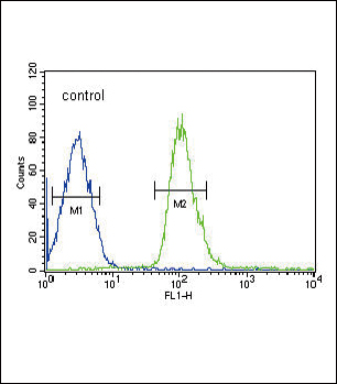 DUSP2 Antibody (C-term) (Cat. #AP9084b) flow cytometric analysis of HepG2 cells (right histogram) compared to a negative control cell (left histogram).FITC-conjugated goat-anti-rabbit secondary antibodies were used for the analysis.