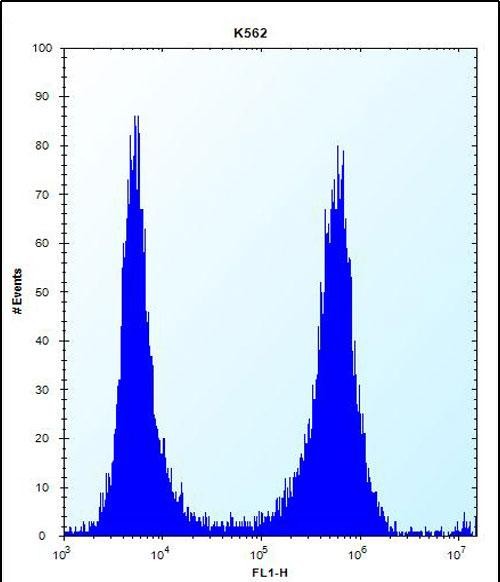 FCN3 Antibody (C-term) (Cat. #AP51643PU-N) flow cytometric analysis of K562 cells (right histogram) compared to a negative control cell (left histogram).FITC-conjugated donkey-anti-rabbit secondary antibodies were used for the analysis.