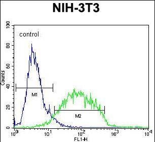 GCNT3 Antibody (C-term) (Cat. #AP51804PU-N) flow cytometric analysis of NIH-3T3 cells (right histogram) compared to a negative control cell (left histogram).FITC-conjugated goat-anti-rabbit secondary antibodies were used for the analysis.
