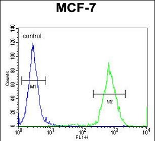 GPD1L Antibody (N-term) (Cat. #AP51905PU-N) flow cytometric analysis of MCF-7 cells (right histogram) compared to a negative control cell (left histogram).FITC-conjugated goat-anti-rabbit secondary antibodies were used for the analysis.