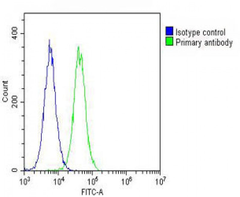 Overlay histogram showing Hela cells stained with AP51984PU-N (green line).  The cells were fixed with 2% paraformaldehyde (10 min).  The cells were then icubated in 2% bovine serum albumin to block non-specific protein-protein interactions followed by the antibody (AP51984PU-N,  1:25 dilution) for 60 min at 37ºC.  The secondary antibody used was Goat-Anti-Rabbit IgG, DyLight® 488 Conjugated Highly Cross-Adsorbed(OH191631) at 1/200 dilution for 40 min at 37ºC.  Isotype control antibody (blue line) was rabbit IgG (1μg/1x10^6 cells) used under the same conditions.  Acquisition of >10, 000 events was performed.