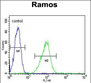 HIP1R Antibody (N-term) (Cat. #AP52048PU-N) flow cytometric analysis of Ramos cells (right histogram) compared to a negative control cell (left histogram).FITC-conjugated goat-anti-rabbit secondary antibodies were used for the analysis.