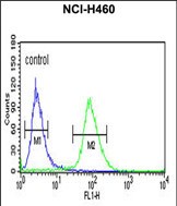 IDH3G Antibody (C-term) (Cat. #AP52147PU-N) flow cytometric analysis of NCI-H460 cells (right histogram) compared to a negative control cell (left histogram).FITC-conjugated goat-anti-rabbit secondary antibodies were used for the analysis.