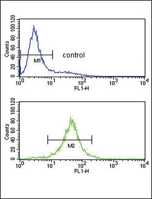 IL10 Antibody (Center) (Cat. #AP9112c) flow cytometry analysis of Jurkat cells (bottom histogram) compared to a negative control (top histogram).FITC-conjugated goat-anti-rabbit secondary antibodies were used for the analysis.
