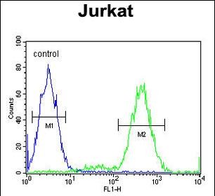 IMP2L Antibody (Center) (Cat. #AP52204PU-N) flow cytometric analysis of Jurkat cells (right histogram) compared to a negative control cell (left histogram).FITC-conjugated goat-anti-rabbit secondary antibodies were used for the analysis.
